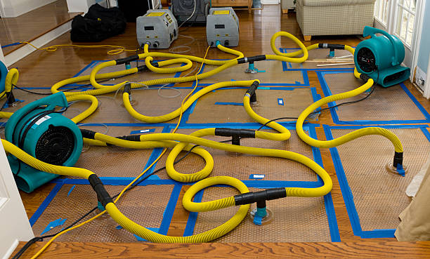 Professional Water Extraction technician working in Patchogue, NY